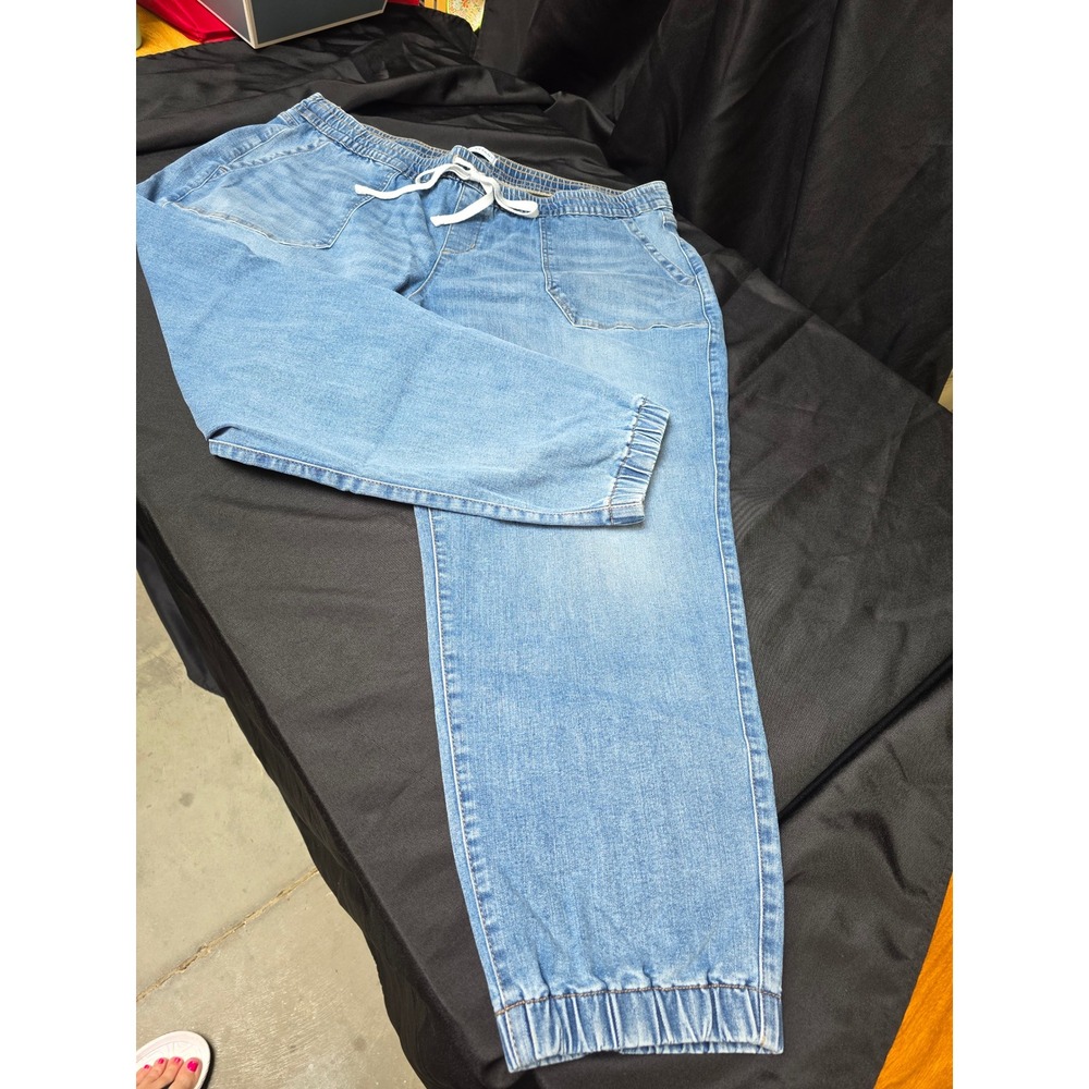 Lane Bryant Mid-Rise Boyfriend Jogger Jeans Light Wash Denim Plus Size 20